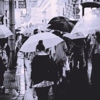 ♪雨夜恍行，我们只是彼此眼中的路人