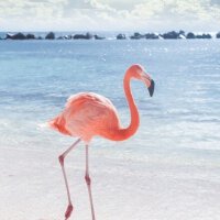 我的私家珍藏音乐大合集（♦没错我要把这些大部分偏爵士略小清新外加间歇性发神经的曲子听一整天）（不定时更新）