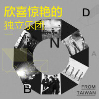 欣喜惊艳的独立乐团FromTaiwan