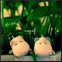 一些冷门但好听的中文歌曲