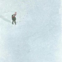 孤独旅人配民谣
