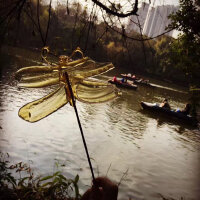 那些关于青春的吟唱
