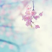 //music.jsbaidu.com/9kuimg/taoge/20161010/67e73fa0e5215b73.jpg