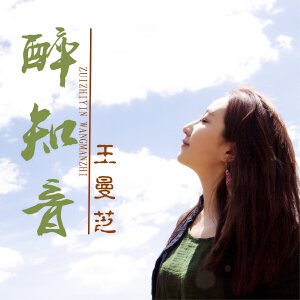 醉知音