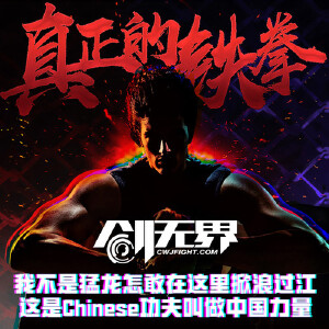 真正的铁拳