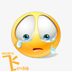 谁的眼泪飞