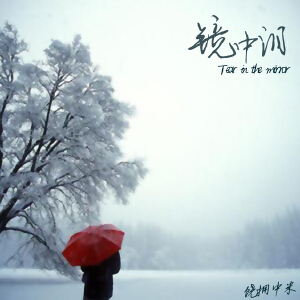 镜中泪