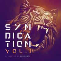 Sounds of Syndication, Vol .1 (Presented by Syndic