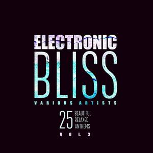 Electronic Bliss (25 Beautiful Relaxed Anthems), V