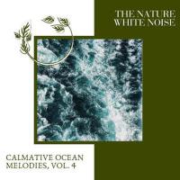 The Nature White Noise - Calmative Ocean Melodies,