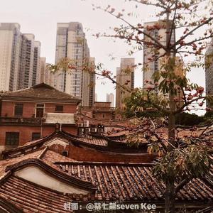 晋江郎(助力世中运)