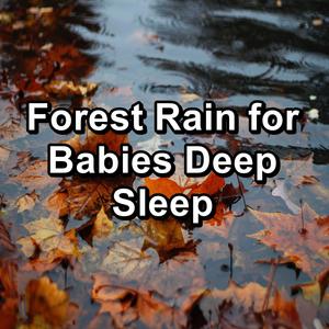 Forest Rain for Babies Deep Sleep