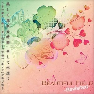Beautiful Field Revisited