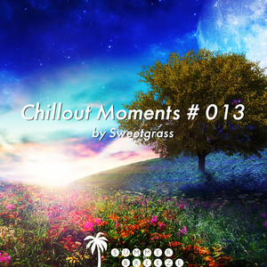 Chillout Moments # 013