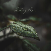Healing Rain (Deep Sounds for Relaxation Meditatio