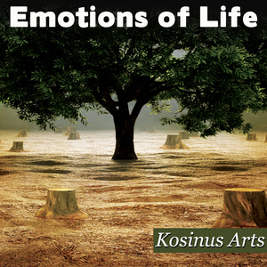 Emotions Of Life