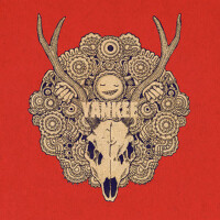 YANKEE (ヤンキー)