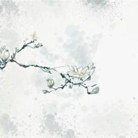 热门华语255