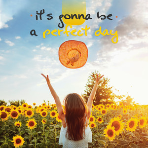 It's Gonna Be a Perfect Day