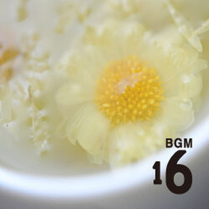 MUJI BGM 16 (Beijing)