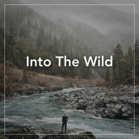 Into The Wild