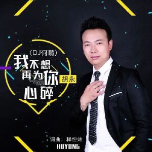 我不想再为你心碎(DJ何鹏版)