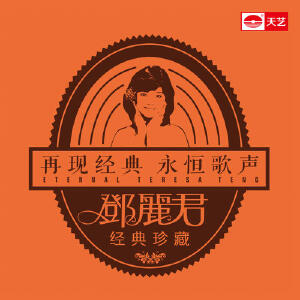 邓丽君经典珍藏13