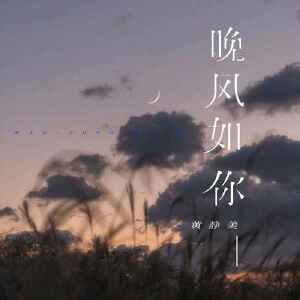 晚风如你
