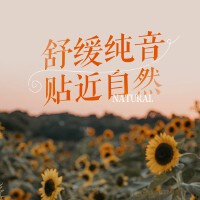 纯音乐洗礼-放松、舒适、升华