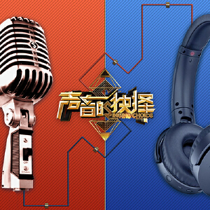 声音的抉择