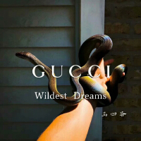 Wildest Dreams