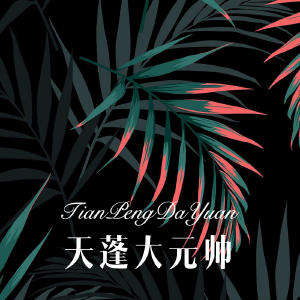 天蓬大元帅