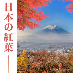 日本の紅葉: 秋の虫の鳴き声, 森のエコーと自然音, 鳥のなきごえ