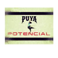 Potencial