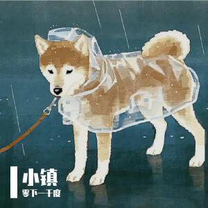 小镇