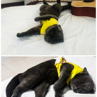 送给小朋友的歌