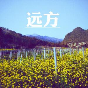 远方