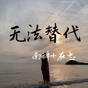 无法替代