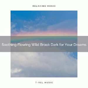 2021 New: Soothing Flowing Wild Brook Dark for Your Dreams