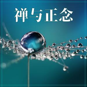 禅与正念：最佳的冥想音乐，平静的音乐