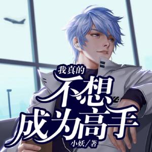 我真的不想成为高手