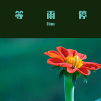 等雨停
