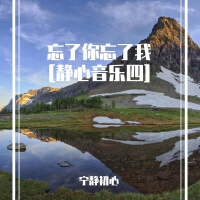 忘了你忘了我 (静心音乐四)