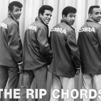 The Rip Chords图集