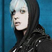 The Distillers图集