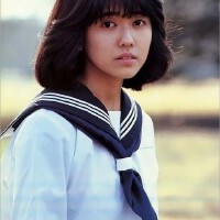 松本伊代图集