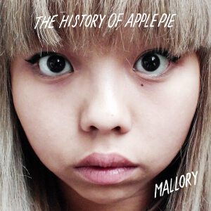 The History Of Apple Pie写真图片