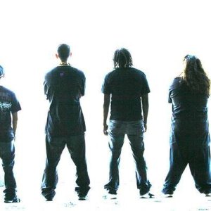 The Antidotes写真图片
