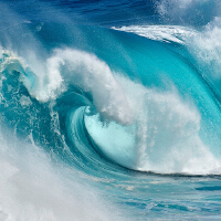The Ocean图集