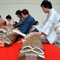 mihomihomakoto图集